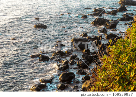 the splendid Sicilian coast 109539957