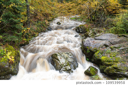 Eifel, Rhineland-Palatinate, Germany 109539958