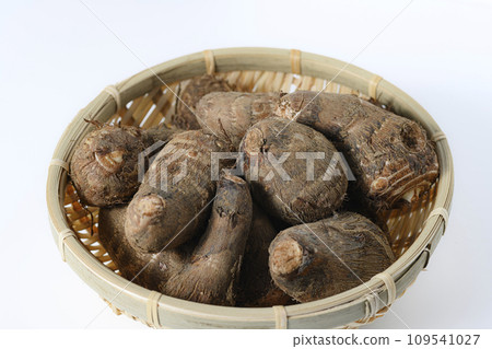 白色背景上的芋頭 白色背景上的芋頭 109541027