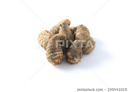 白色背景上的芋頭 白色背景上的芋頭 109541029