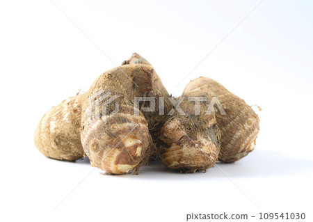 白色背景上的芋頭 白色背景上的芋頭 109541030