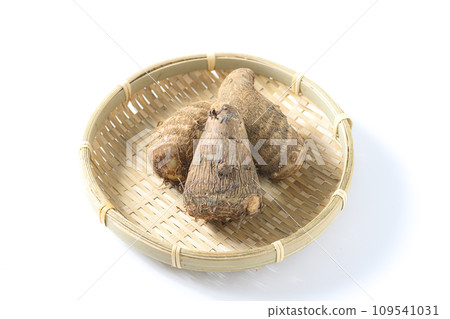白色背景上的芋頭 白色背景上的芋頭 109541031