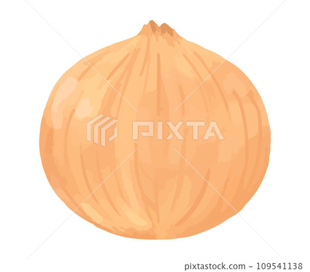 洋蔥手繪風格插畫 109541138