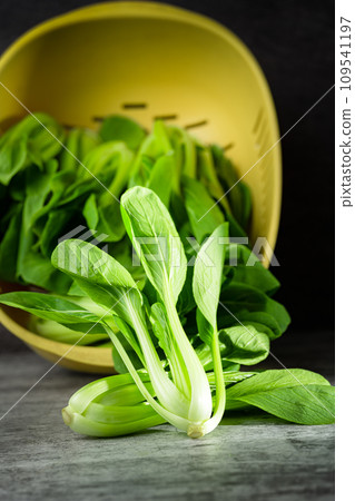 Vegetable greens on black background plate Vegetable greens on black background plate 109541197