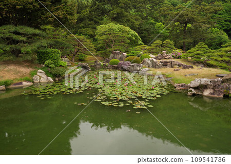 Kuribayashi公園 109541786