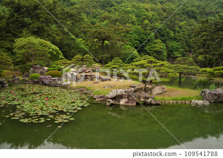 Kuribayashi Park 109541788