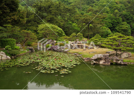 Kuribayashi公園 109541790