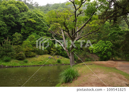 Kuribayashi Park Kuribayashi Park 109541825