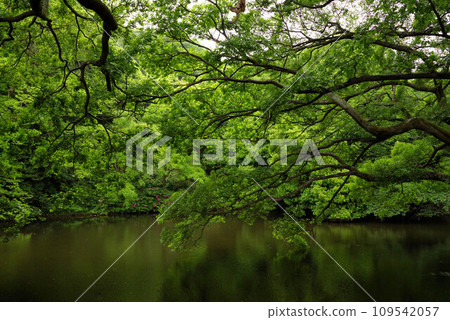 Kuribayashi Park Kuribayashi Park 109542057