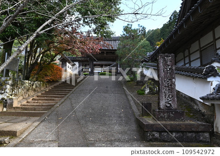[Tajima's Little Kyoto] Izushi/Castle Town Sokyoji Temple 109542972