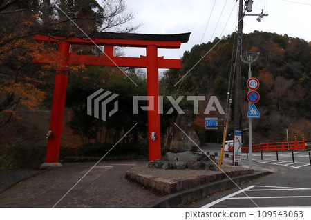 秋天的貴船神社：一野鳥居（京都市左京區） 109543063