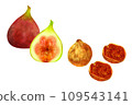 Dried Fruit Fig FIG. 109543141