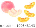 Dried Fruit Peach 109543143