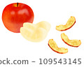 Dried fruit apple 109543145