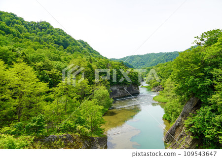 Yubari River at Takinoue Park in Yubari Yubari River at Takinoue Park in Yubari 109543647