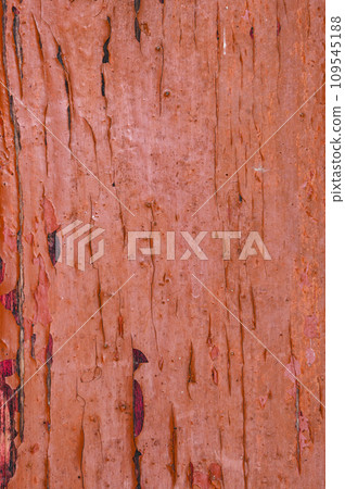 The background of the wall with the texture of boards painted with red paint 109545188