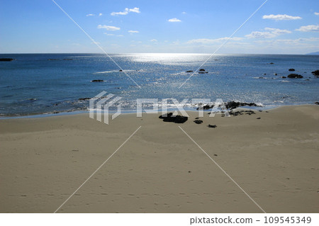 Sunlight reflecting on Tosa Bay 109545349