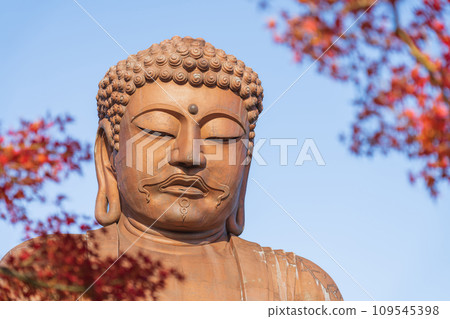秋天的十樂園、十樂園大佛（愛知縣東海市） 109545398