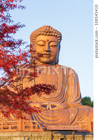 秋天的十樂園、十樂園大佛（愛知縣東海市） 109545410