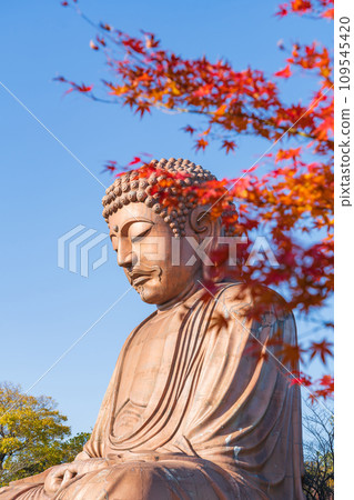 秋天的十樂園、十樂園大佛(愛知縣東海市) 秋天的十樂園、十樂園大佛(愛知縣東海市) 109545420
