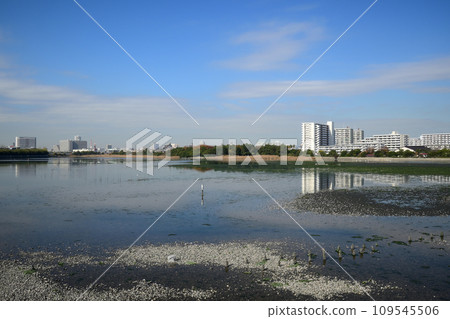 Yatsu tidal flat at low tide 109545506
