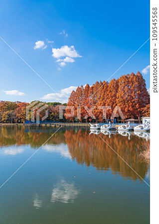Autumn Shonai Ryokuchi Park (Nagoya City, Aichi Prefecture) 109545568