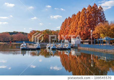 Autumn Shonai Ryokuchi Park (Nagoya City, Aichi Prefecture) 109545570
