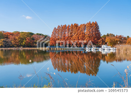 秋季莊內綠地公園(愛知縣名古屋市) 秋季莊內綠地公園(愛知縣名古屋市) 109545573
