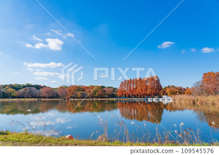 秋季莊內綠地公園（愛知縣名古屋市） 109545576
