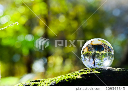 照顧地球 照顧地球 109545845