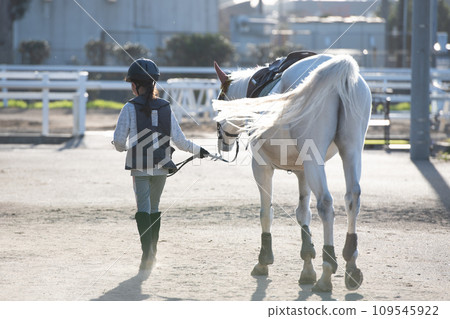 child walking with horse 109545922