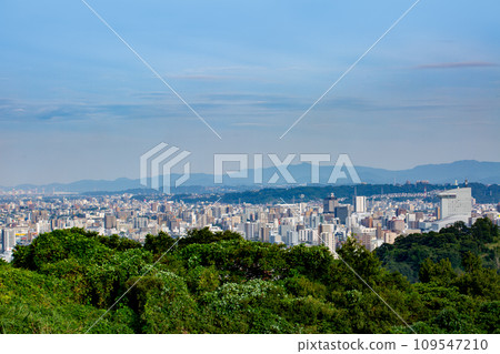 大分市和別府灣 大分市和別府灣 109547210