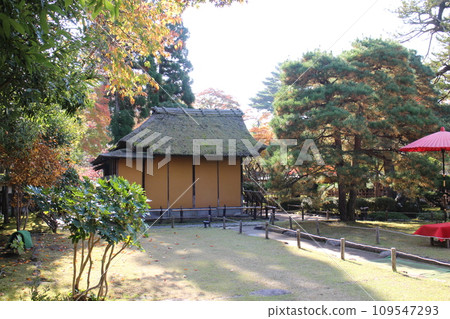 福島 會津若松鶴雅城/臨閣茶室庭園 福島 會津若松鶴雅城/臨閣茶室庭園 109547293