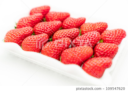 美味的草莓 109547620