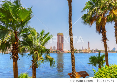 Great Nile scenery, image of the river, the palm bank and Gezira island, Cairo, Egypt 109547975