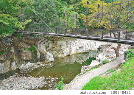 [Sarutobi Sentsubo Gorge] Herbaceous, Yamakuni-cho, Nakatsu City, Oita Prefecture 109548421