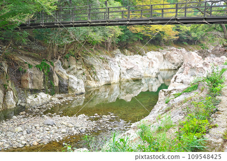 [Sarutobi Sentsubo Gorge] Herbaceous, Yamakuni-cho, Nakatsu City, Oita Prefecture 109548425