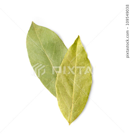 Dry Bay Leaves, Laurel Leaf, Natural Spicy Bayleaf, Fragrant Ingredient, Aromatic Spice Dry Bay Leaves, Laurel Leaf, Natural Spicy Bayleaf, Fragrant Ingredient, Aromatic Spice 109549038