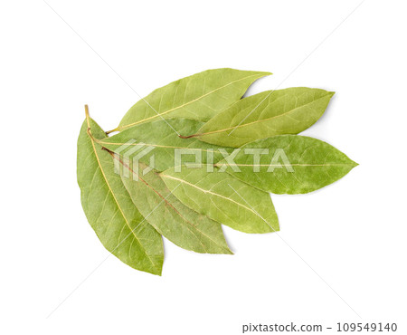 Dry Bay Leaves, Laurel Leaf, Natural Spicy Bayleaf, Fragrant Ingredient, Aromatic Spice Dry Bay Leaves, Laurel Leaf, Natural Spicy Bayleaf, Fragrant Ingredient, Aromatic Spice 109549140