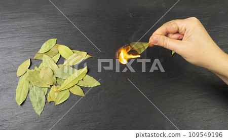 Dry Bay Leaves, Laurel Leaf, Natural Spicy Bayleaf, Fragrant Ingredient, Aromatic Spice 109549196