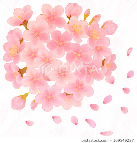 櫻花盛開的簡單插畫 109549287