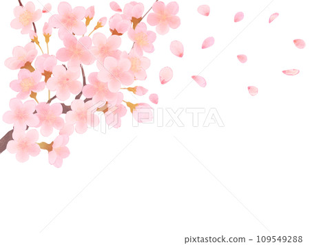 櫻花盛開的簡單插畫 櫻花盛開的簡單插畫 109549288