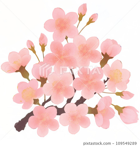 櫻花盛開的簡單插畫 櫻花盛開的簡單插畫 109549289