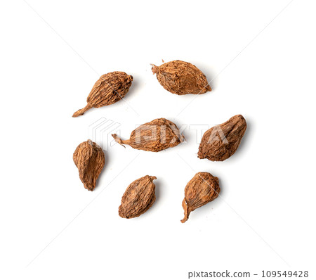 Black Cardamom Seeds Isolated, Brown Cardamon, Dry Kardamon Fruits, Cardamum Spice, Cardamomum 109549428