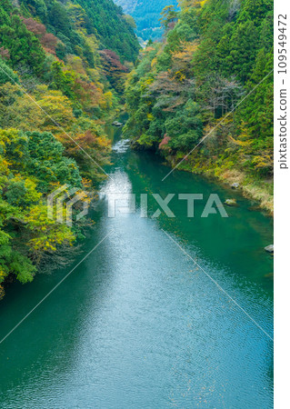 Okutama's great nature Okutama Tamagawa 109549472