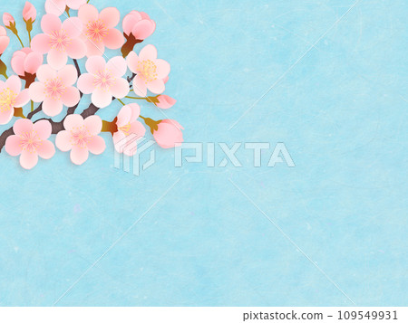 淺藍色背景上的櫻花花瓣 淺藍色背景上的櫻花花瓣 109549931