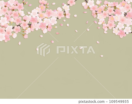 Cherry blossom petal illustration background material 109549935