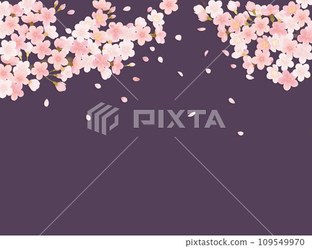 櫻花花瓣插畫背景素材 109549970