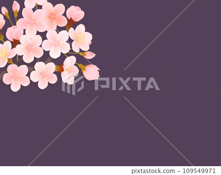櫻花花瓣插畫背景素材 109549971