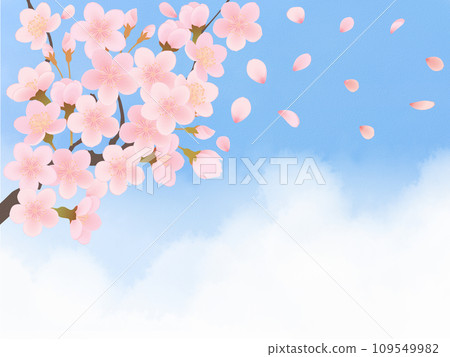 Landscape with cherry blossoms against the blue sky 109549982